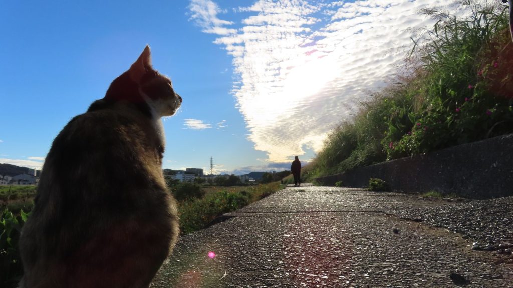 高２探究旅行（創造コース）5日目